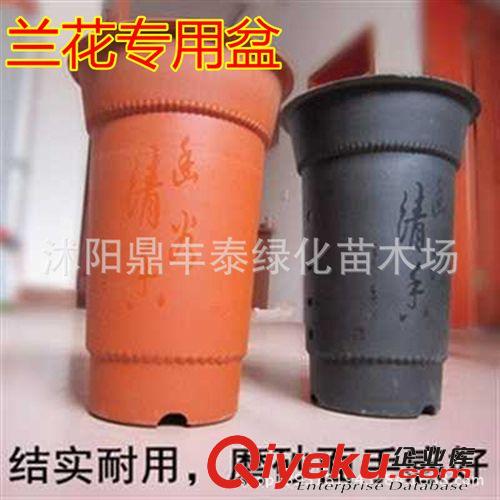 批發玻璃花瓶 水培植物花盆 水培圓球花瓶 玻璃圓球花瓶 含定植籃原始圖片3