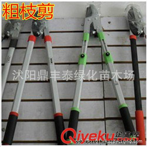 批發(fā)德之助zp 園林鋸子 園藝工具便攜折疊鋸 手工鋸 手鋸原始圖片2