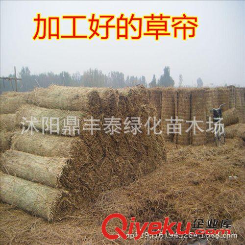 批發(fā)供應(yīng)大棚草簾 工程用草簾子 裝飾草簾 包裝草簾 草墊草垛子原始圖片3