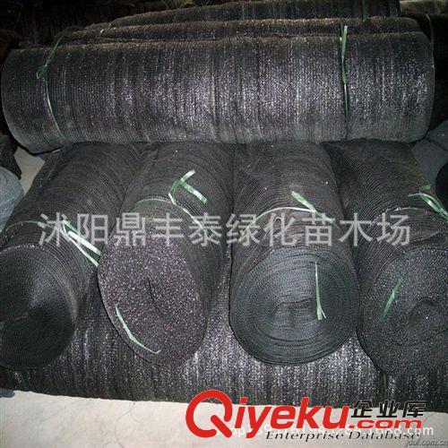 批發(fā)遮陽網(wǎng) 遮陰網(wǎng)2-6針加厚加密 防曬網(wǎng) 隔熱網(wǎng) 遮陽80%瘋搶原始圖片3