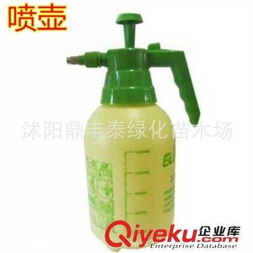 園藝用品 灑水壺噴壺  噴霧器 壓力水壺原始圖片3