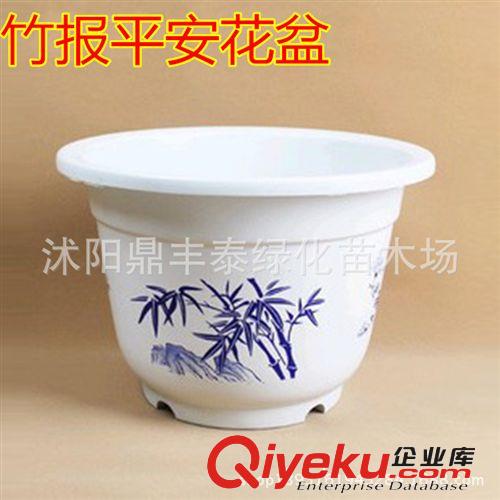 批發花盆 塑料花盆 圓形花盆 有圖案 適用各種花卉 多種規格