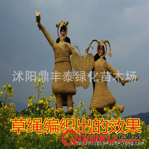 廠家直銷供應(yīng)質(zhì)量多用途捆扎繩 草繩，稻草草簾綠色環(huán)保稻草繩原始圖片3