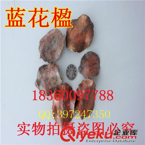 萬花軒苗圃 批發(fā)林木花卉樹種紅 黃 白 紫 廣玉蘭 山玉蘭凈種子原始圖片3