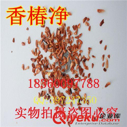 萬花軒苗圃 批發(fā)香椿種子 紅油香椿種子香椿頭芽苗菜種子