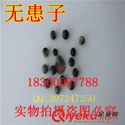 萬花軒苗圃批發(fā)進口草坪草花花卉種子 野花組合15-30個品種組合