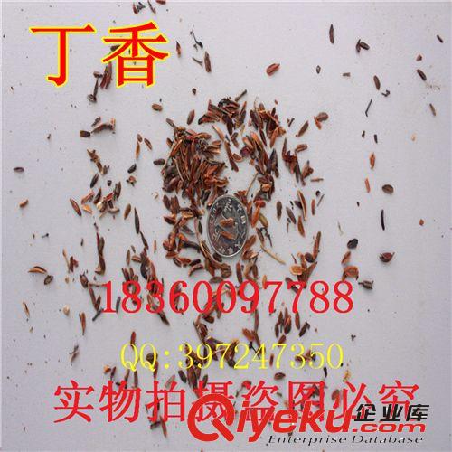 花盆 塑料花盆 圓形花盆 白色花盆 送托盤 耐摔 批發(fā) 大號(hào)花盆