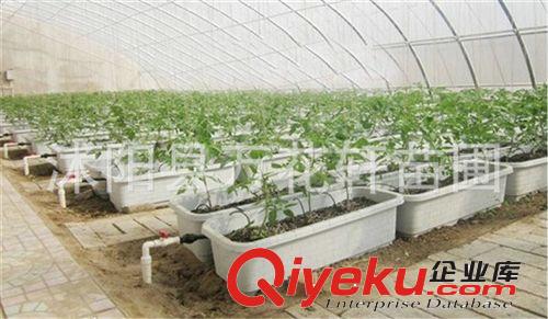 家庭陽臺種菜盆長條盆花槽 大號長方形樹脂塑料大花盆 特大89cm原始圖片3