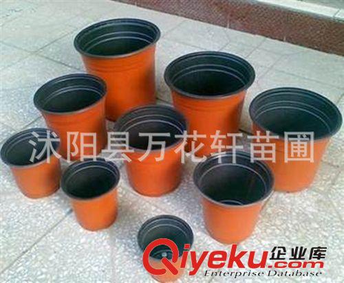 塑料花盆 花盆雙色花盆 創意花盆 摔不壞花盆 花盆批發 歐式花盆原始圖片2