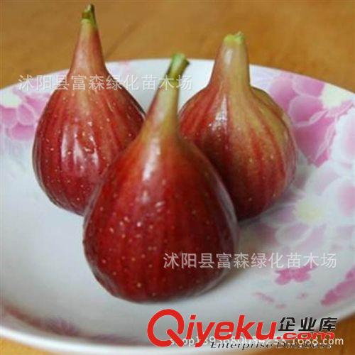 【波姬紅】紅心無花果 味甜汁多.品質{jj0} 新品種無花果原始圖片3