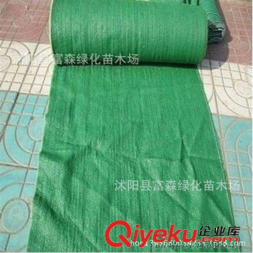 廠家直銷 農用遮陽網 6針綠色遮陽網 遮光降溫 抗氧化 耐腐蝕性好原始圖片2