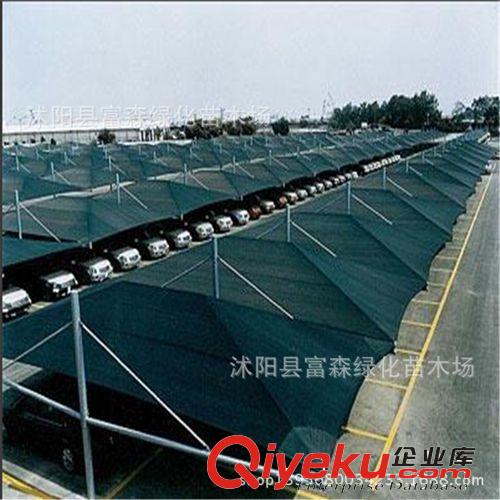 供應園藝工具 農用遮陽網 遮陽降溫 抗風防蟲 2針遮陽網原始圖片3