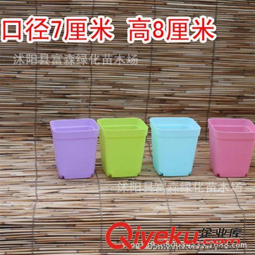 彩色花盆GD-7080塑料 迷你正方形小方盆新款量大tj批發(fā)可配托盤(pán)原始圖片3