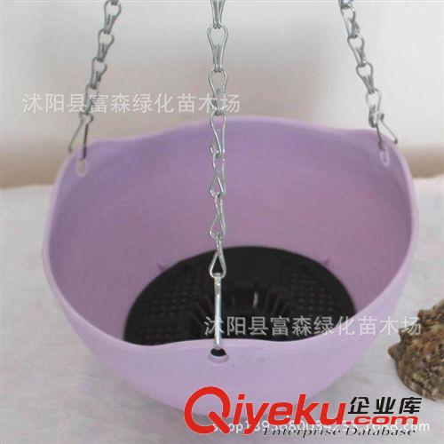 吊蘭樹脂配金屬吊鉤吊鏈帶蓄水功能花盆 價格實惠 量大從優
