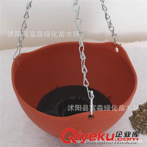 吊蘭樹脂配金屬吊鉤吊鏈帶蓄水功能花盆 價格實惠 量大從優