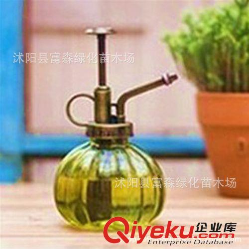 zp 【仿古銅質(zhì)噴壺】多肉植物園藝噴壺 南瓜型玻璃澆花器