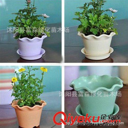 塑料 樹脂花盆 【蓮花圓形花盆】綠植盆栽花卉用盆買盆送底盤