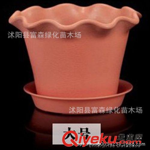 塑料 樹脂花盆 【蓮花圓形花盆】綠植盆栽花卉用盆買盆送底盤原始圖片3