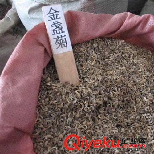 優質紫羅蘭種子 批發供應各種牧草花草種子 苗木基地直銷