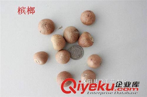 檳榔種子 種子批發 種子 花草種子原始圖片3