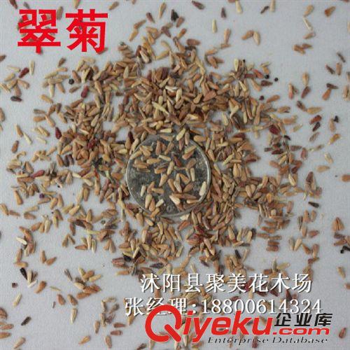 野花組合 草本花卉 草花種子 種子批發原始圖片2