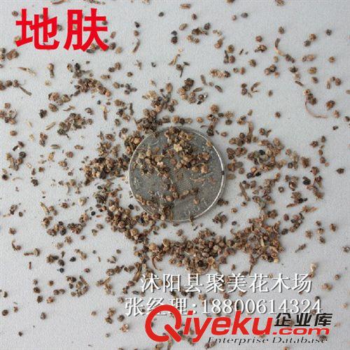 二月蘭種子 諸葛菜種子 種子批發 草花種子