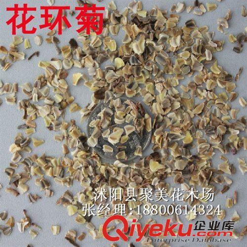 半支蓮太陽花種子 草花種子 進口花卉種子批發(fā)