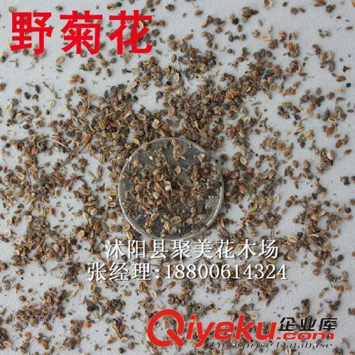 虞美人種子 種子批發(fā) 草花種子 花卉種子 虞美人草籽