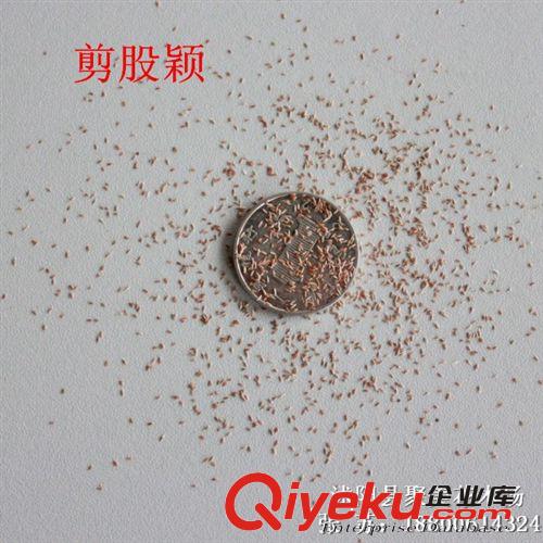 草坪種子批發 白花三葉草種子 白花三葉草草籽 白三葉種子