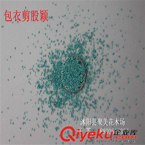 剪股穎種子 剪股穎草籽 進口草坪種子批發原始圖片3