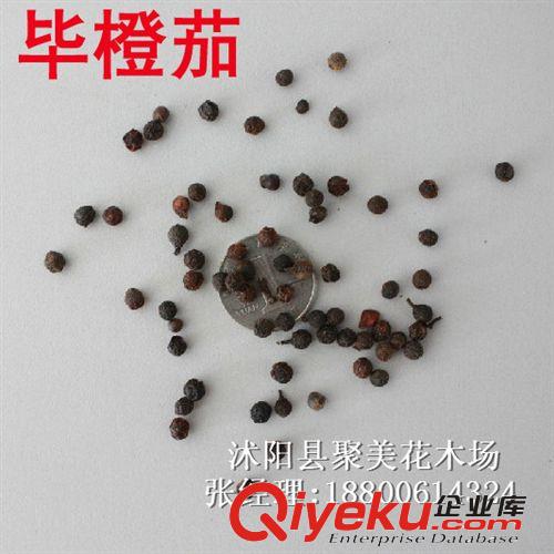畢澄茄種子 作物種子 進口批發種子原始圖片3