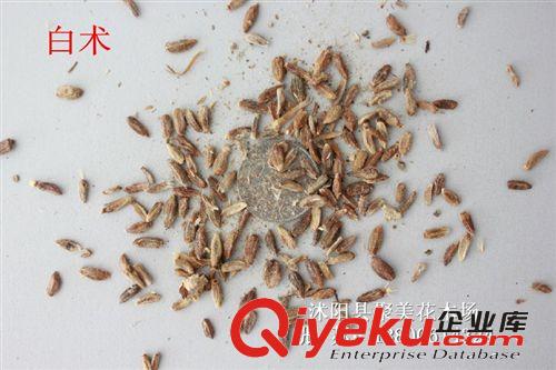 白術(shù)種子 名貴藥材種子 中藥材種子批發(fā)