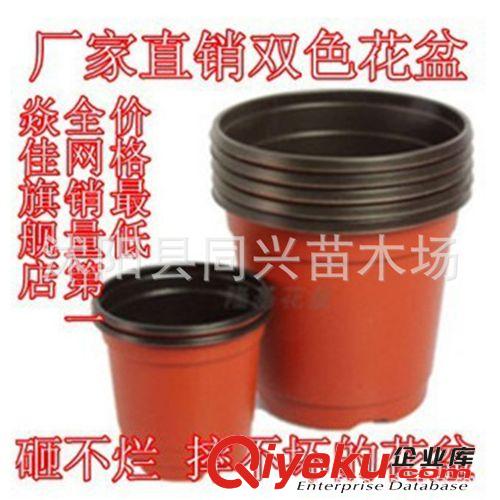 摔不破的薄塑料花盆雙色盆 質量超好 雙色花盆各種型號tj批發