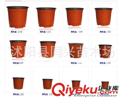 摔不破的薄塑料花盆雙色盆 質量超好 雙色花盆各種型號tj批發原始圖片3