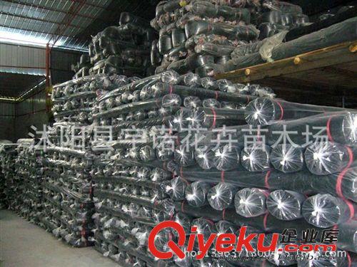 黑色加厚加密遮陽網(wǎng)促銷 農(nóng)用網(wǎng)遮陰網(wǎng)6針  園藝隔熱網(wǎng) 包郵原始圖片2