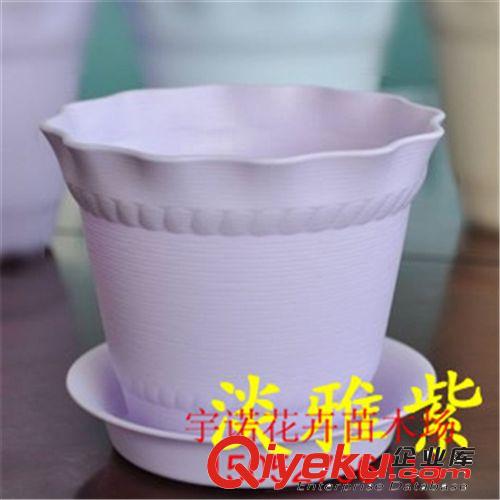 廠(chǎng)家批發(fā)優(yōu)質(zhì)加厚塑料花盆包郵塑料花盆特大號(hào)花盤(pán) 送托盤(pán)低價(jià)