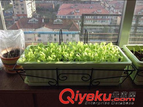 廠家熱銷陽臺種菜花盆PP樹脂大號花盆長方形花盆低價批發(fā)原始圖片3