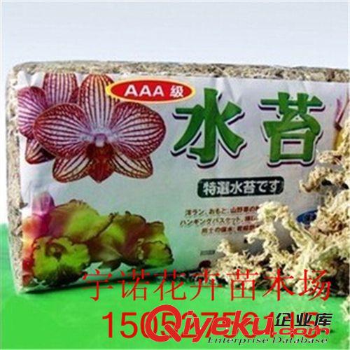 簡約小花盆 育苗小方盆 多肉小花盆 多色可選 塑料軟花盆