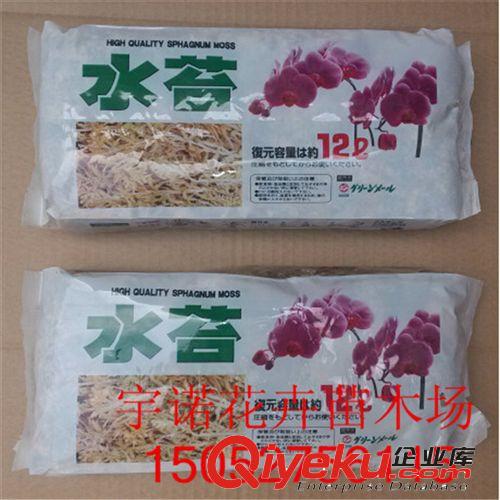 養(yǎng)蘭花干水苔 苔蘚  優(yōu)質(zhì)蘭花無土栽培介質(zhì) 保濕用 蝴蝶蘭專用原始圖片2