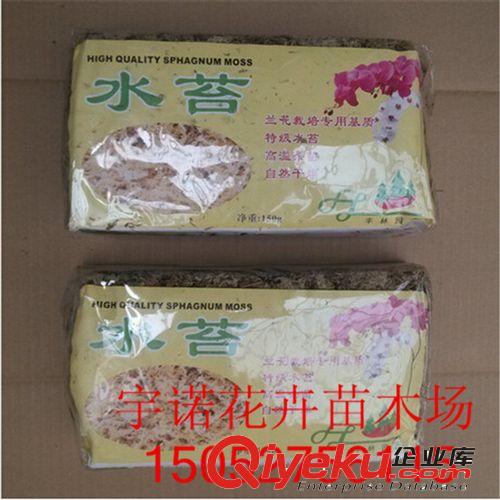 養(yǎng)蘭花干水苔 苔蘚  優(yōu)質(zhì)蘭花無土栽培介質(zhì) 保濕用 蝴蝶蘭專用原始圖片3
