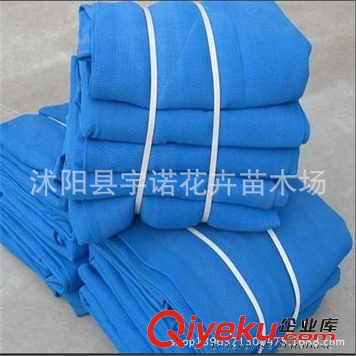 廠家直銷 6針黑色遮陽網 防曬網 pe網 遮陽率是95% 塑料網 農用