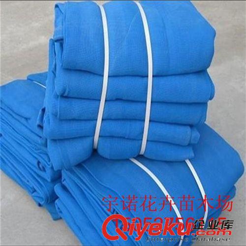 廠家直銷 6針黑色遮陽網 防曬網 pe網 遮陽率是95% 塑料網 農用原始圖片2