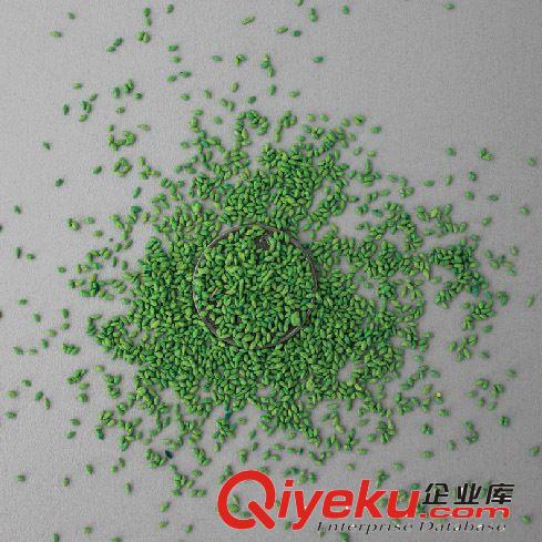 供應苗木 大量現貨 優質 狗牙根種子草坪專用