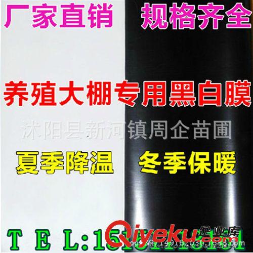 黑白色透明塑料布包郵塑料薄膜地膜中膜加厚膜無滴大棚塑料膜齊全