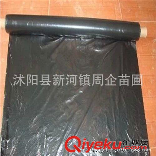 廠家批發農用塑料黑薄膜 黑色地膜 除草地膜 塑料薄膜 PE薄膜原始圖片2