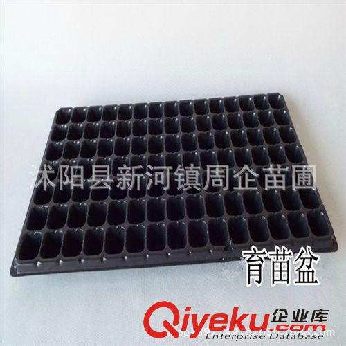 穴盆 黑色塑料育苗盤 營養缽 蔬菜 花卉育苗 加厚 抗氧化 耐用原始圖片2