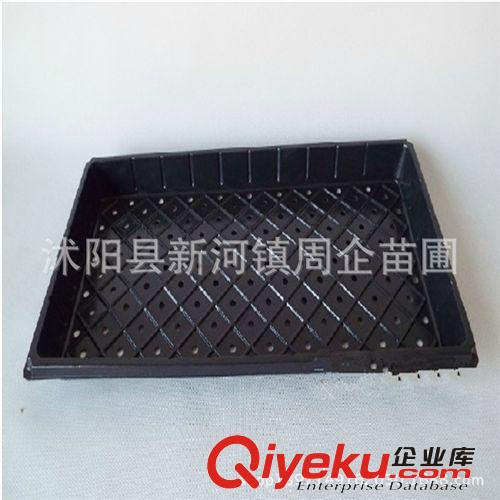 穴盆 黑色塑料育苗盤 營養缽 蔬菜 花卉育苗 加厚 抗氧化 耐用原始圖片3