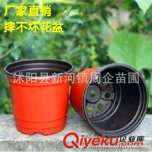 廠家直銷塑料花盆雙色花盆園藝花盆摔不壞花盆軟塑料小花盆批發原始圖片2