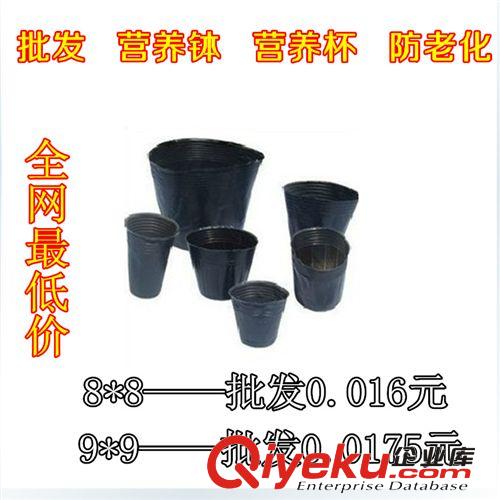 廠家直銷塑料花盆雙色花盆園藝花盆摔不壞花盆軟塑料小花盆批發原始圖片3