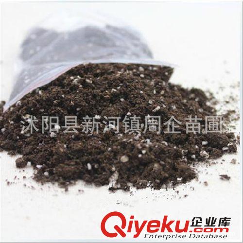 多肉植物專用土 顆粒土種植營養(yǎng)土 適合生長 已混合好的原始圖片3